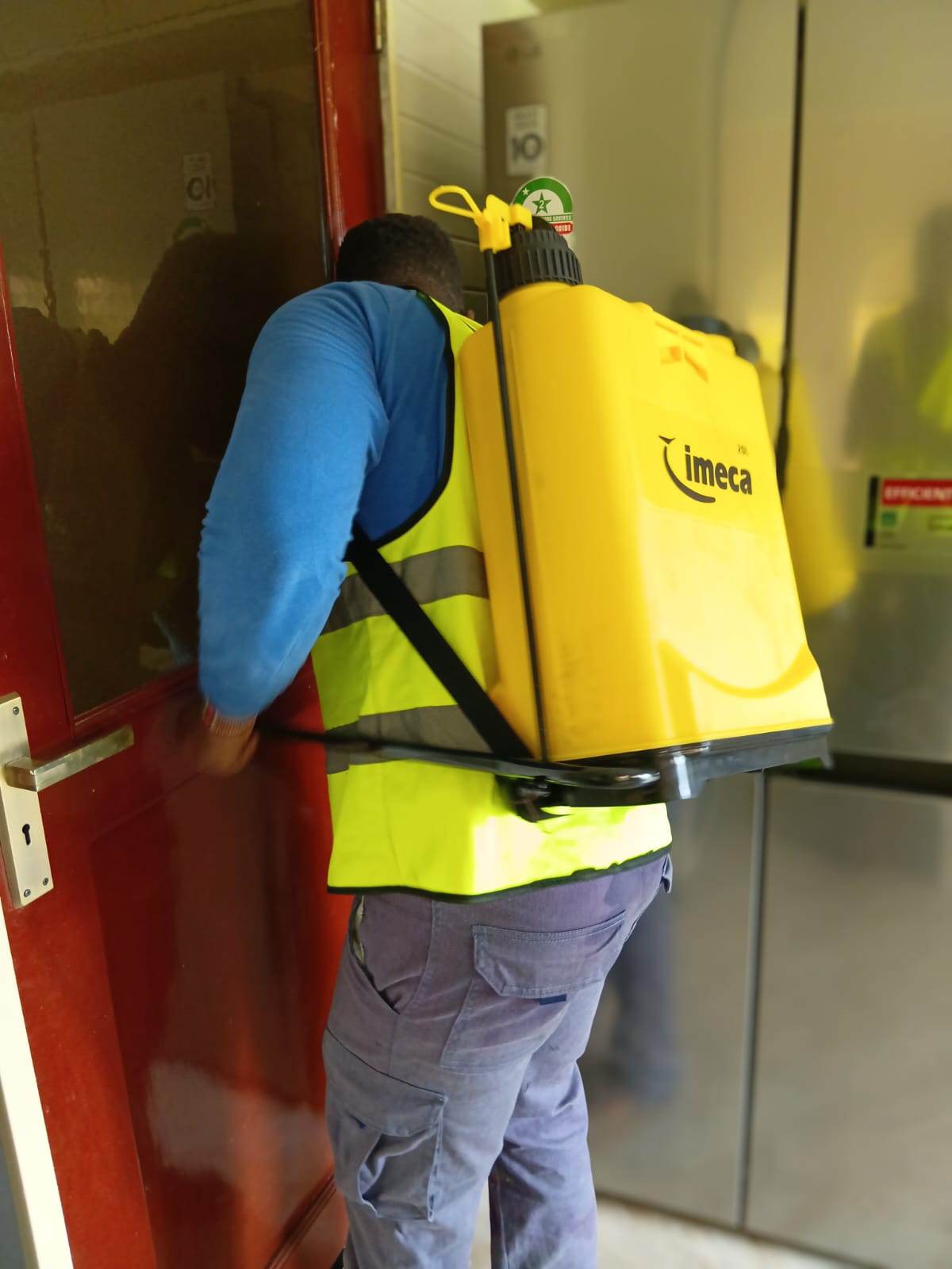 Commercial kitchen fumigation and pest control service