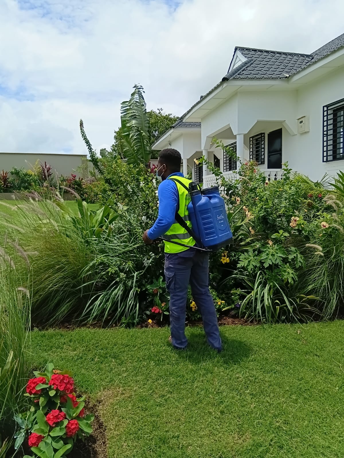 Beautiful flower garden maintained by Ibsois landscaping team