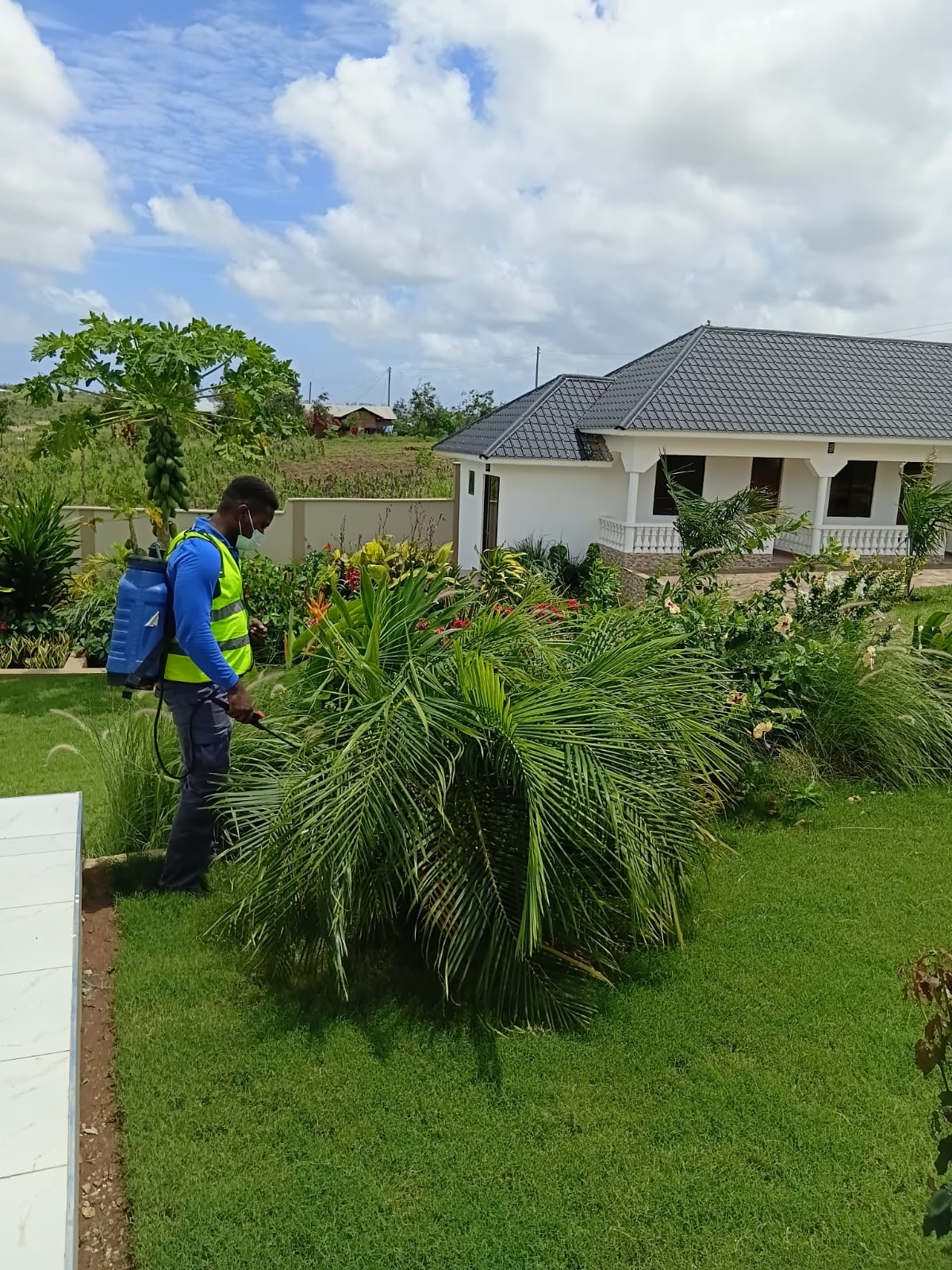 Professional garden maintenance and lawn care service in Mombasa