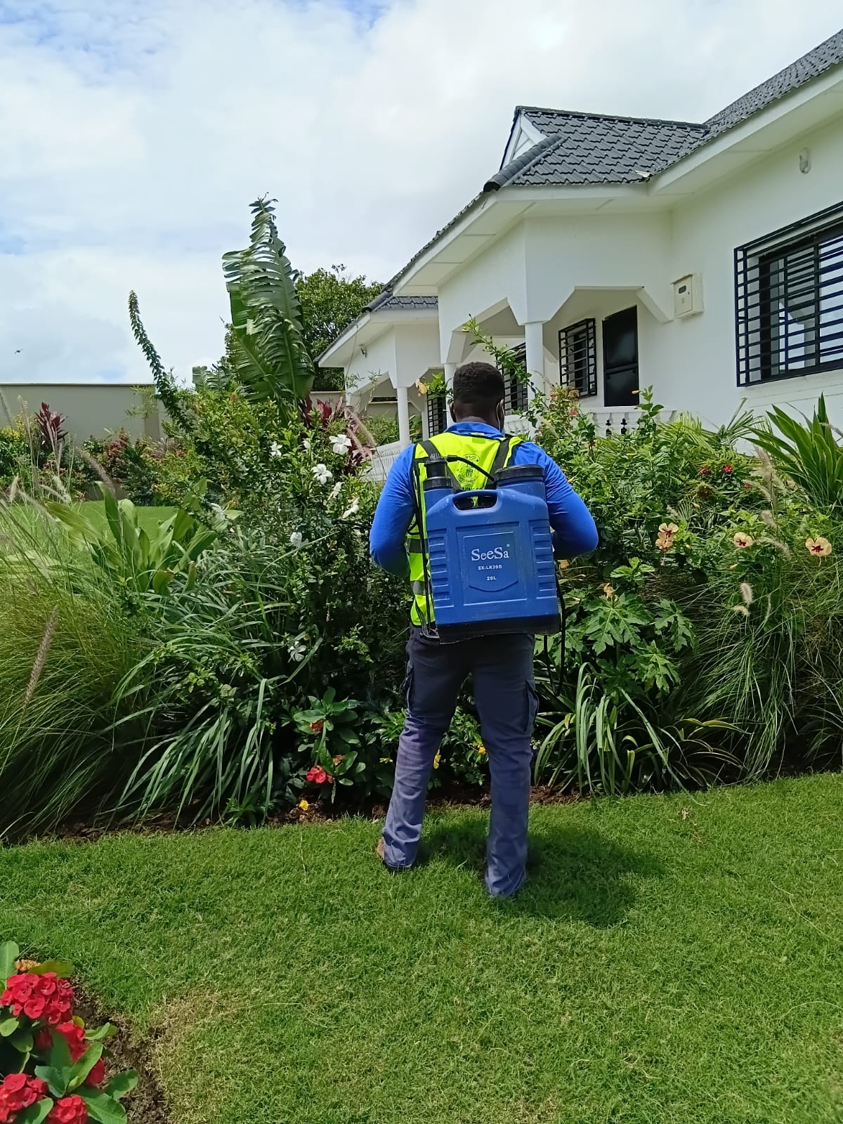 Wide lawn treatment and landscaping service for residential property